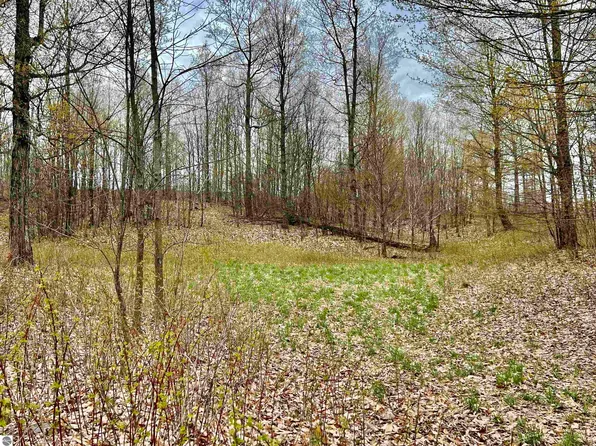 8 W Timberview Trl Lot 8, Empire, MI 49630