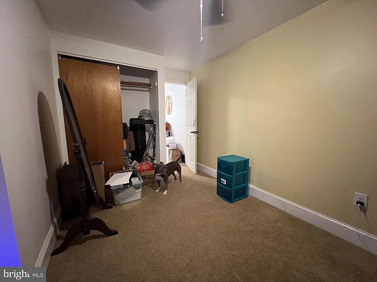 262 W Apsley St #1 — Photo 8