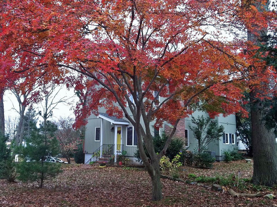 2nd image of 67 Park Rd