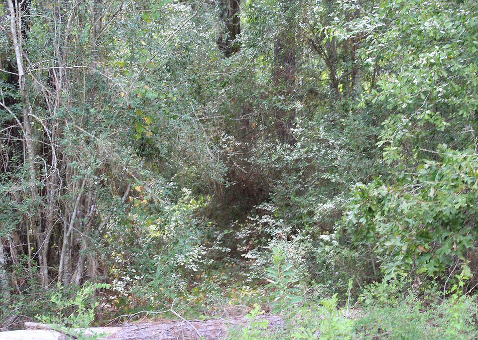1st image of Id 4939 County Rd #35