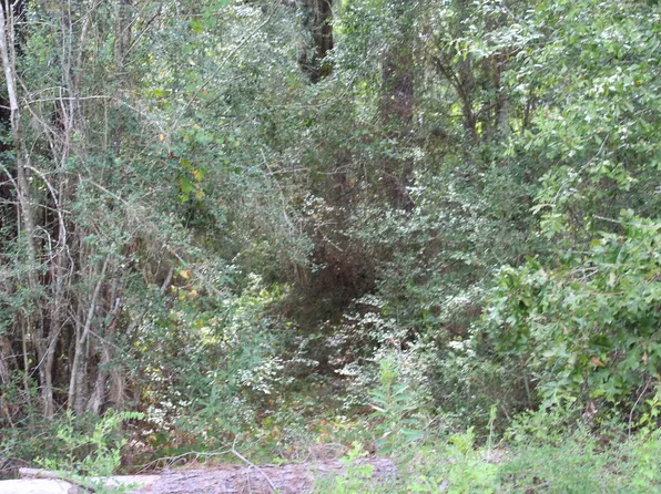 Id 4939 County Rd #35, Jasper, TX 75951