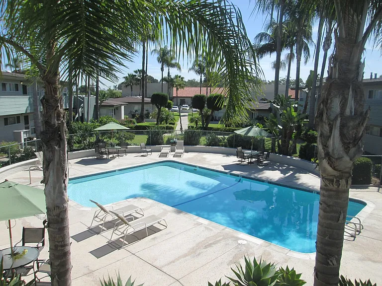 The Palms — Photo 8
