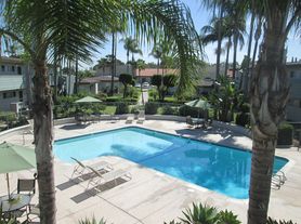 The Palms