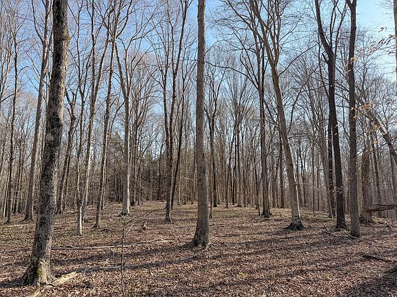 21st image of this home