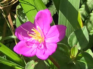 Plumeria Rd LOT 162, Pahoa, HI 96778