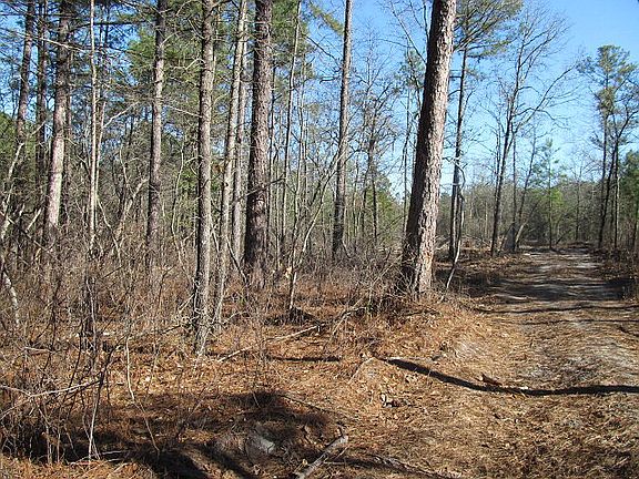 5th image of Nc 27 W