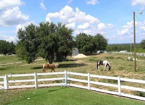 Fenced Pasture with 2 Stall Barn