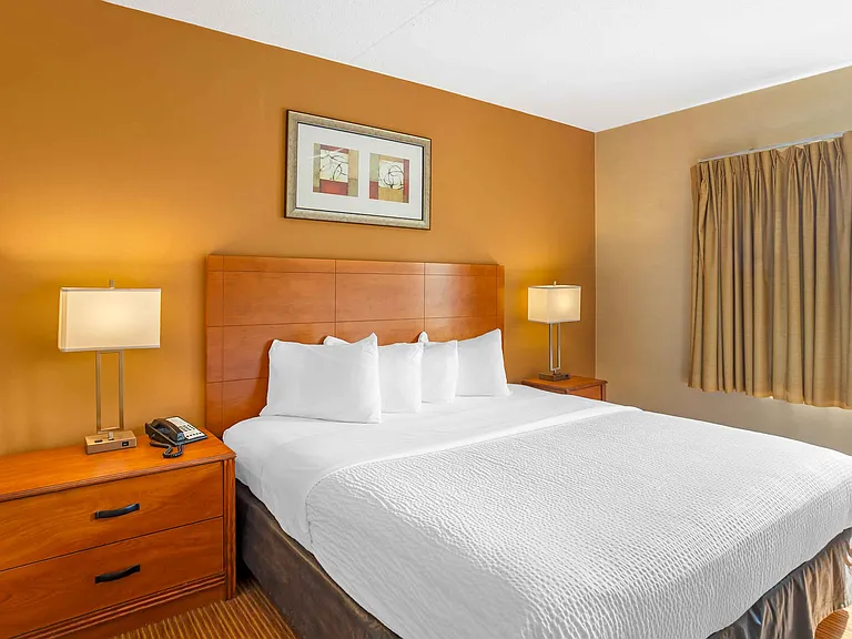 1 Bedroom Suite - 1 King and 1 Queen Bed