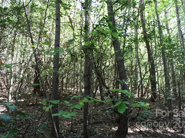 2764 Turkey Hen Mountain Ln, Lenoir, NC 28645
