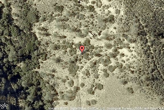 Map View