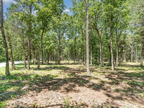 0 Millersburg Rd Lot 0, Christiana, TN 37037