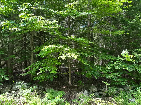 0 Dingley Road, Bowdoinham, ME 04008