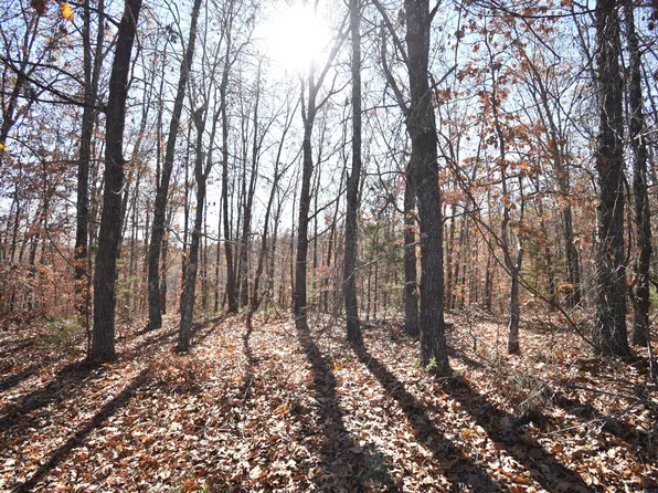 Lot 118 N Walnut Springs Drive, Cape Fair, MO 65624
