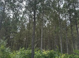 Lee Rd LOT 4, Tomahawk, WI 54487