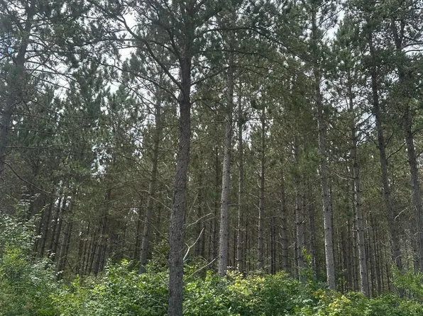 Lee Rd Lot 4, Tomahawk, WI 54487