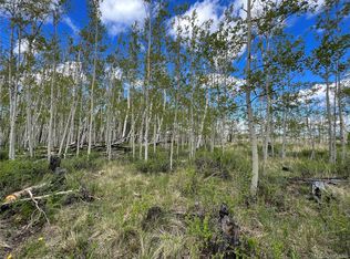 138 June Grass Ct #315, Fairplay, CO 80440