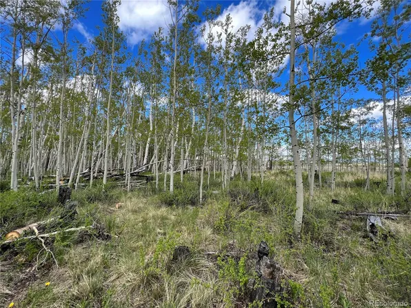 138 June Grass LOT 315, Fairplay, CO 80440