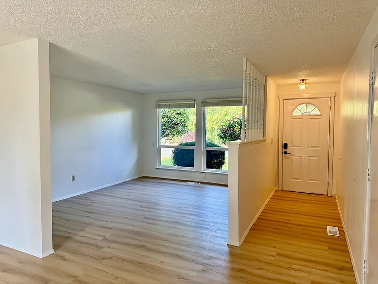 Living room and entrance