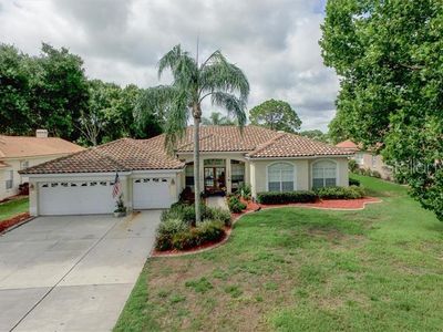 3190 Crescent Oaks Blvd, Tarpon Springs, FL, 34688