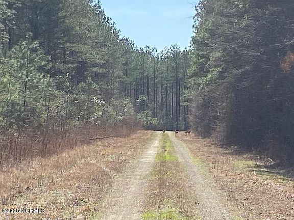 4th image of Tr-A State Rd 1103 LOT TR-A