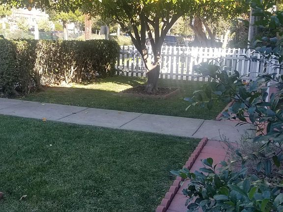 3rd image of 11680 Chandler Blvd