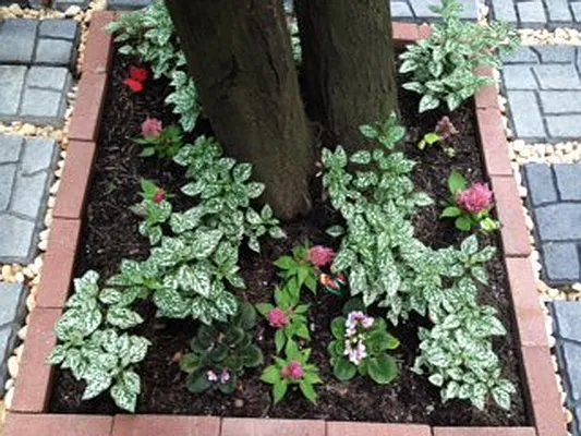 Sold by Corcoran | media 19