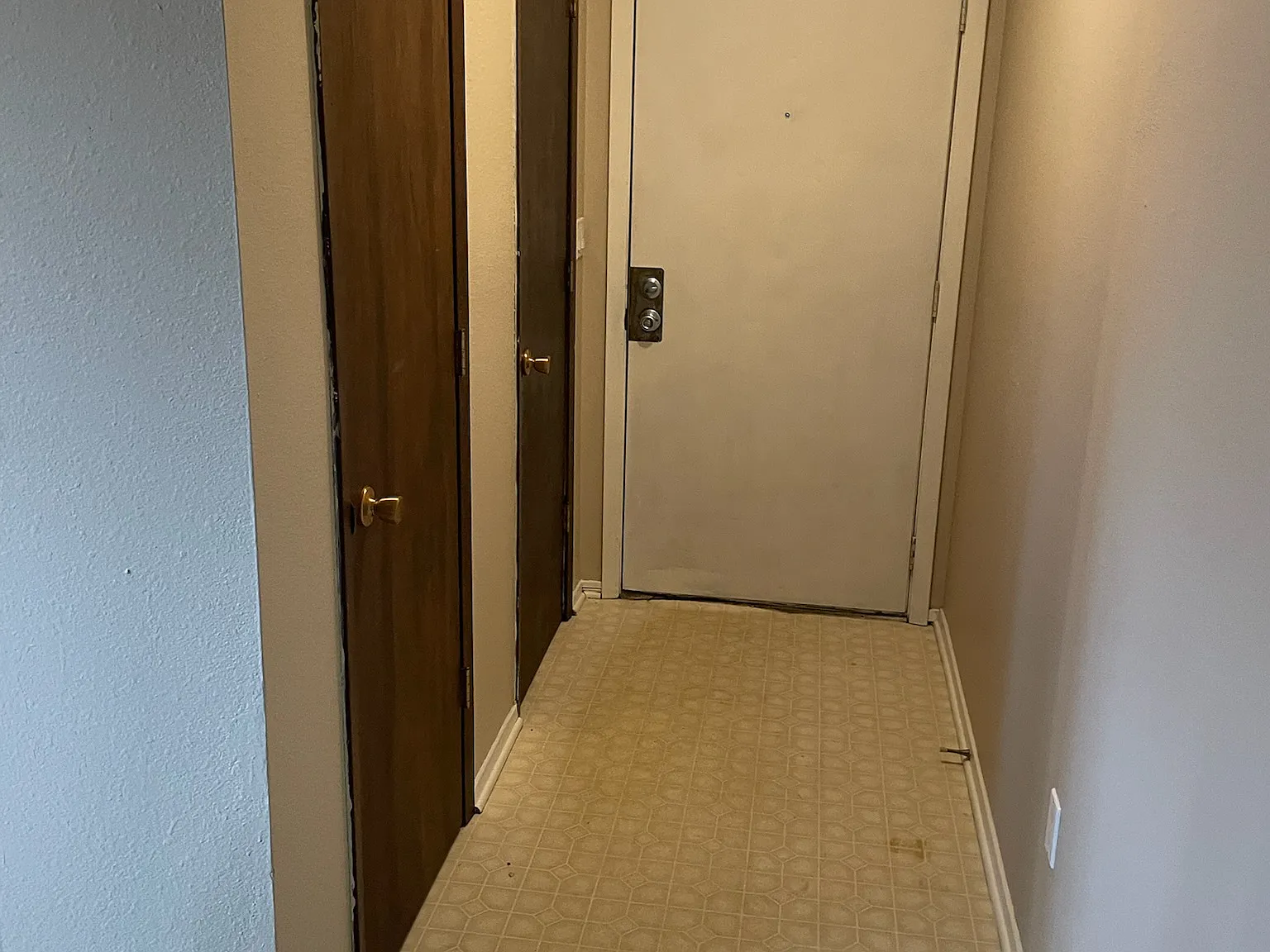 2 bed, 800 sqft, $1,095 — Photo 4