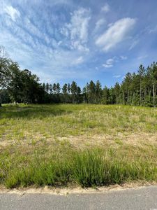  Sioux Swamp Dr., Conway, SC, 29527