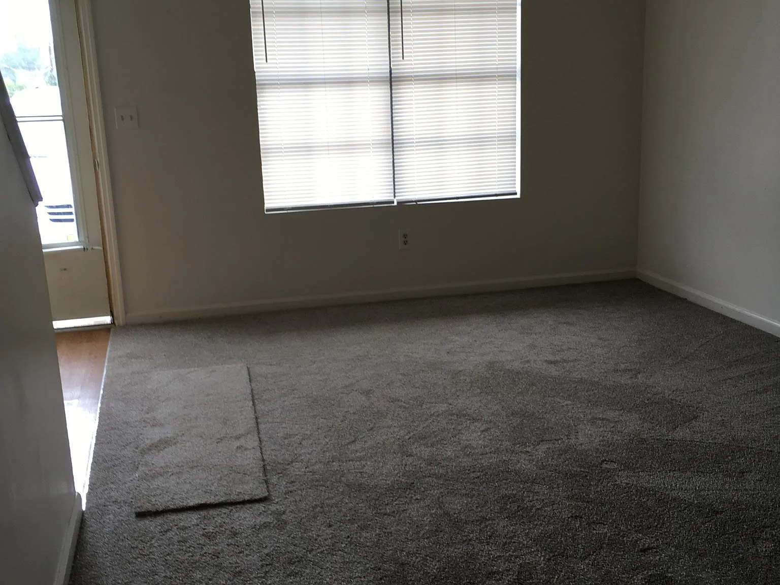 2 bed, 1.5 bath, 1020 sqft, $1,450 — Photo 2