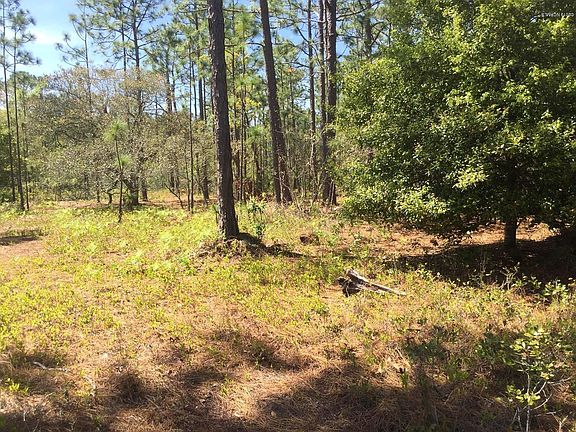 3rd image of Lot 35 Pepperhill Road LOT 35
