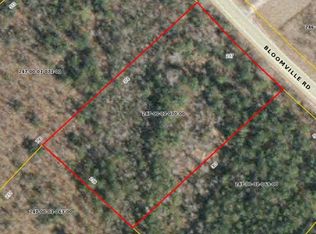 12124 Bloomville Rd, Manning, SC 29102