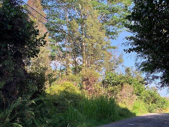 3rd image of 10th Ave Lot 1703