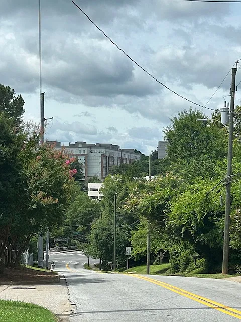 2 bed, 800 sqft, $1,500 — Photo 3