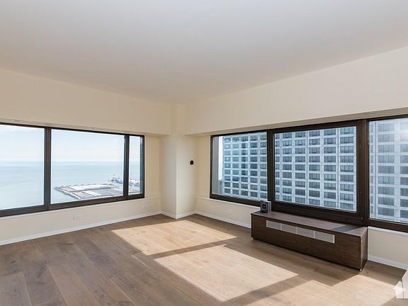 4th image of 175 E Delaware Pl Floor At4915