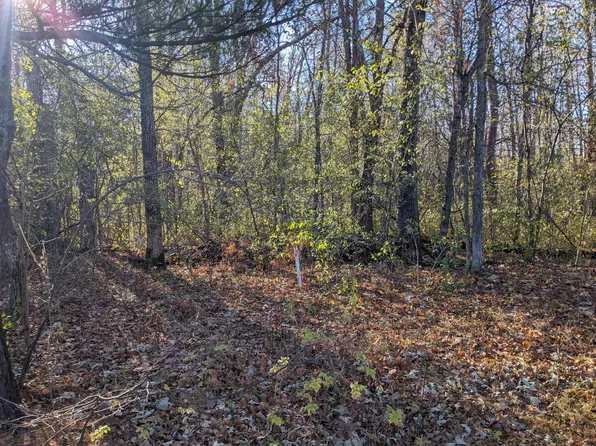 TRACT State Highway 25 #H, Brainerd, MN 56401