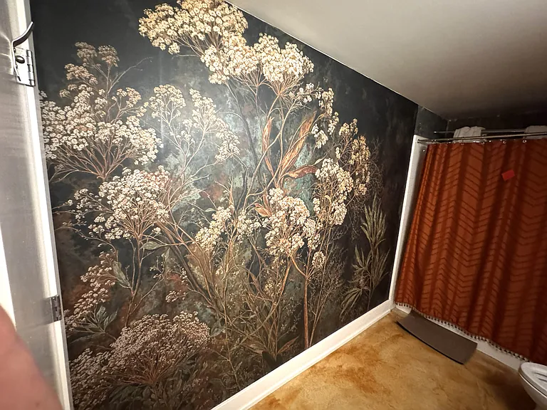 81 Langton St #8 — Photo 14