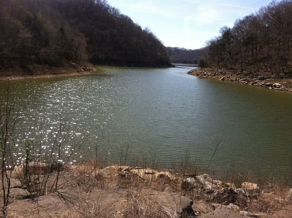 2nd image of 9436 Dobbs Cemetery Rd
