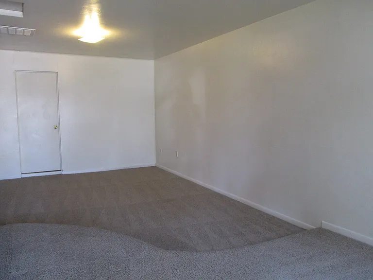 529 W 17th Pl — Photo 14