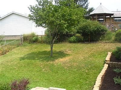 Back yard