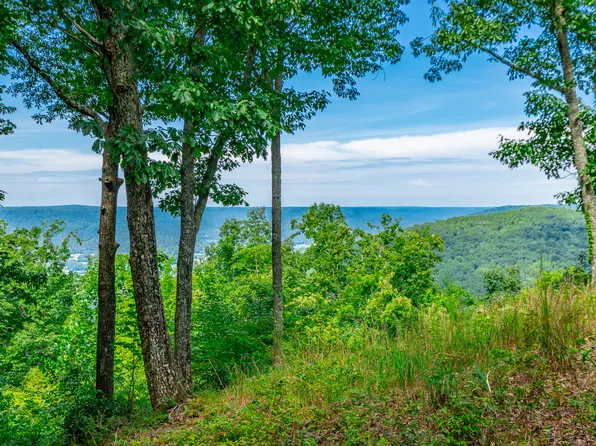 0 Whiskey Way #384, Jasper, TN 37347