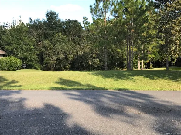 2720 N Brentwood Cir, Lecanto, FL 34461