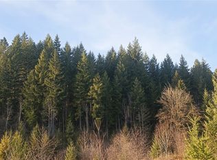 LOT Four Old Skate Creek Rd, Packwood, WA 98361