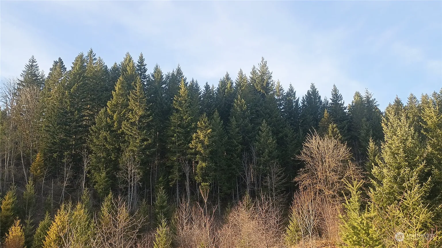 0 Lot 4 Old Skate Creek RD photo 1
