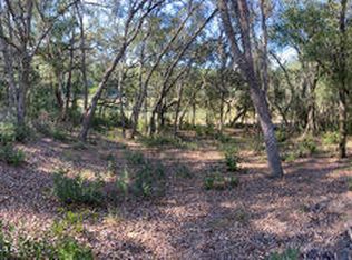 101 Mahan Rd, Interlachen, FL 32148