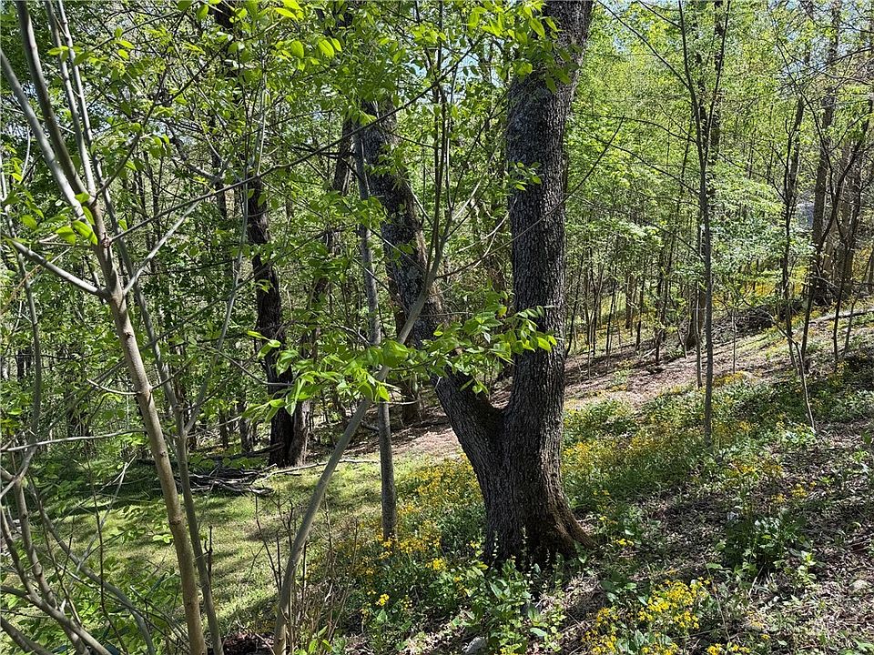 1st image of TBD Ski Mountain Road