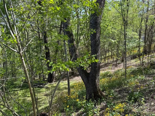 TBD Ski Mountain Road, Blowing Rock, NC 28605