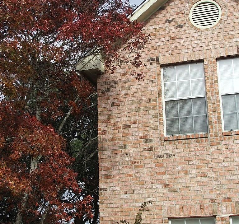 House in Fall 0 Red Oak