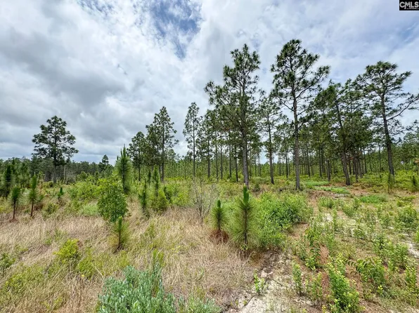 0 Neely Wingard Rd Lot 12, Gilbert, SC 29054