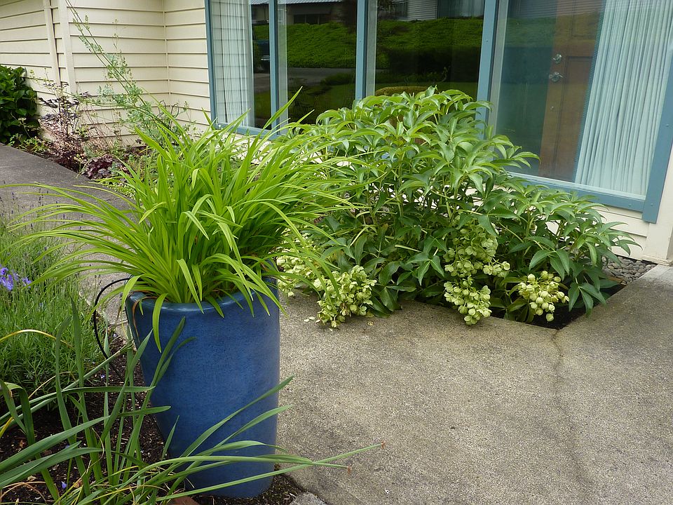 1st image of 300 Farview Dr
