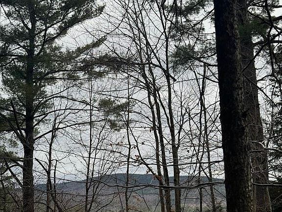 5th image of 00 Bradley Hill Road